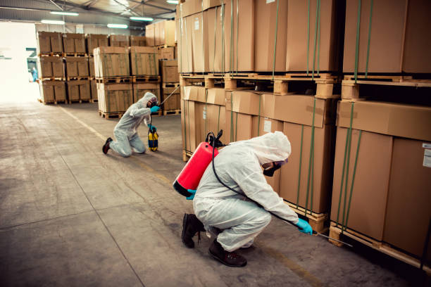Best Pest Removal Services  in Rtez, CO