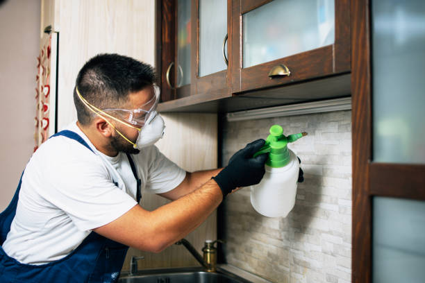 Best Pest Prevention Services  in Rtez, CO