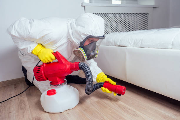Best Bed Bug Extermination  in Rtez, CO