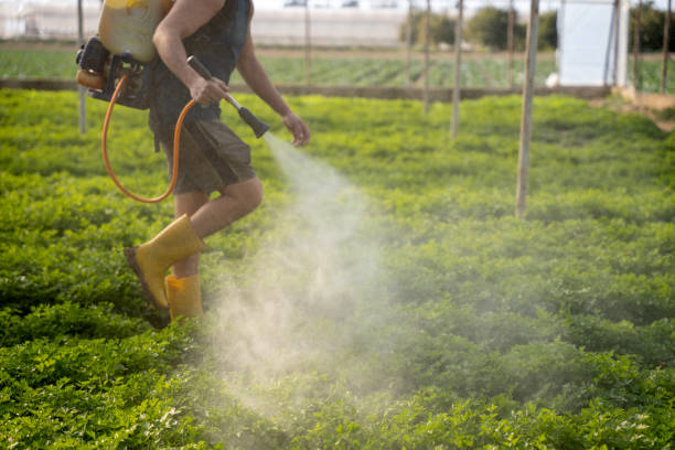 Reliable Cortez, CO Pest Control Solutions