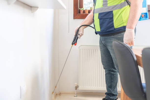 Best Wasp Removal Services  in Rtez, CO