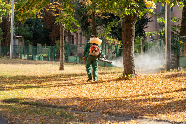 Best Flea Control Services  in Rtez, CO
