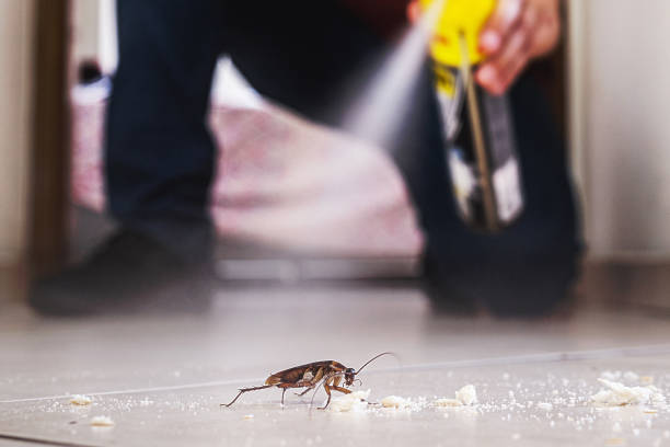 Best Pest Removal Services  in Rtez, CO